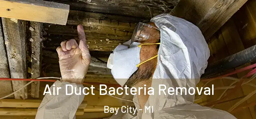 Air Duct Bacteria Removal Bay City - MI