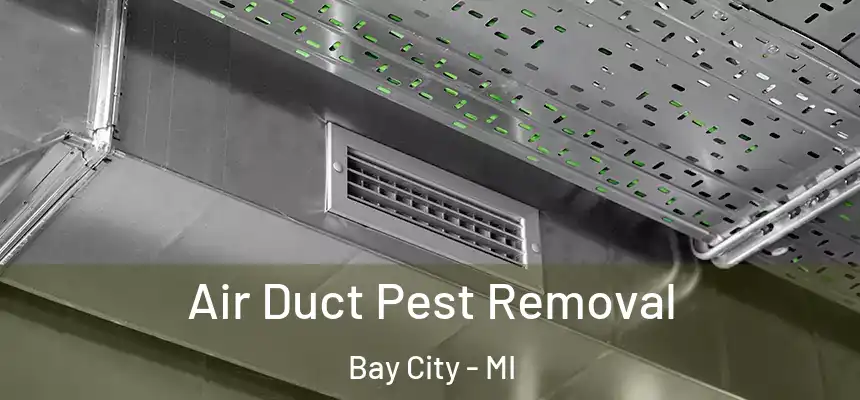 Air Duct Pest Removal Bay City - MI