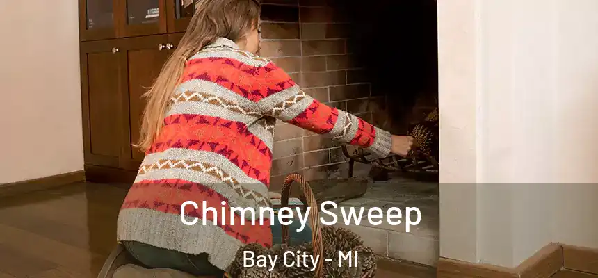  Chimney Sweep Bay City - MI