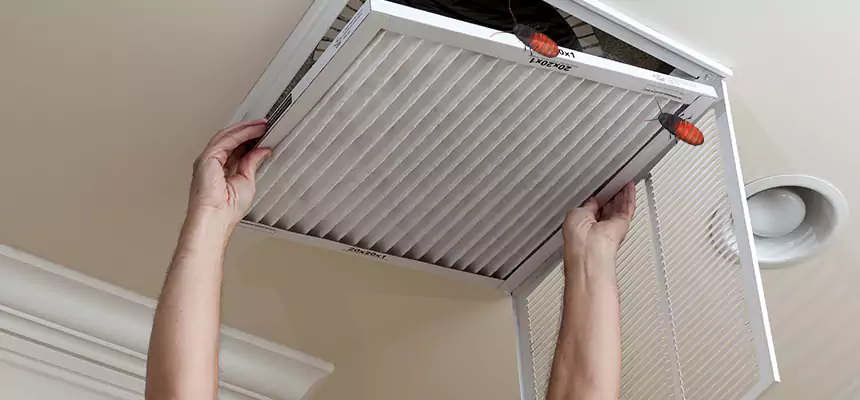 Preventive Cockroach-Proofing for Ducts in Bay City