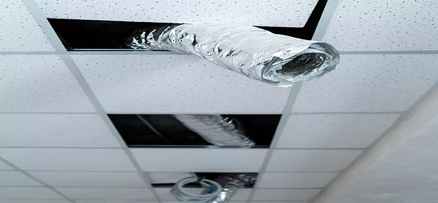 Our Air Duct Pet Hair Removal Services in Bay City, MI