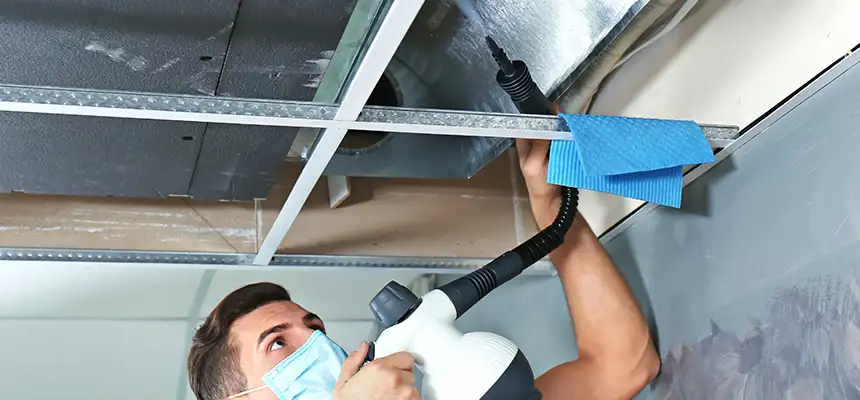 Our Air Duct Rodent Removal Services in Bay City, MI