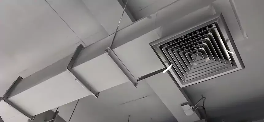 Our Pest Removal From Ducts Services in Bay City, MI