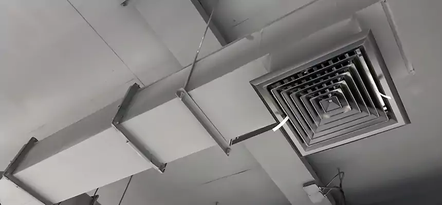 Our Rodent Droppings In Vents Services in Bay City, MI