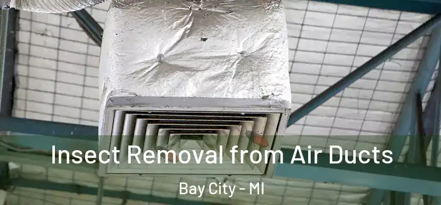 Insect Removal from Air Ducts Bay City - MI