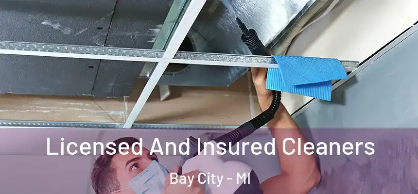 Licensed And Insured Cleaners Bay City - MI