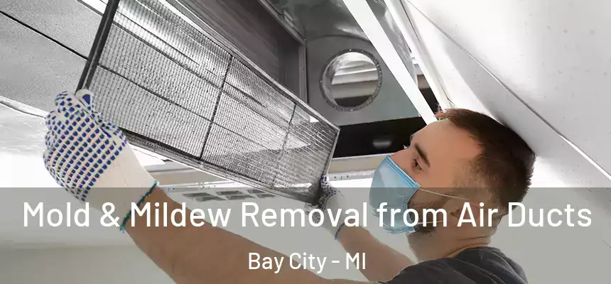 Mold & Mildew Removal from Air Ducts Bay City - MI