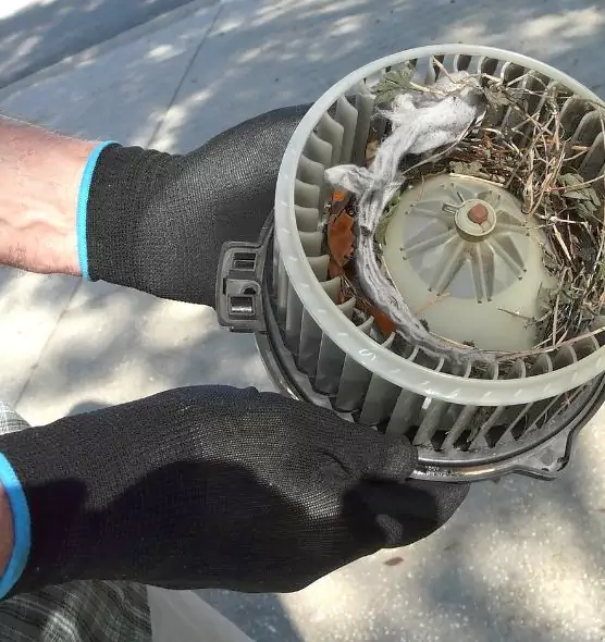 About Air Duct Mice Removal in Bay City, MI