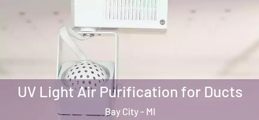  UV Light Air Purification for Ducts Bay City - MI